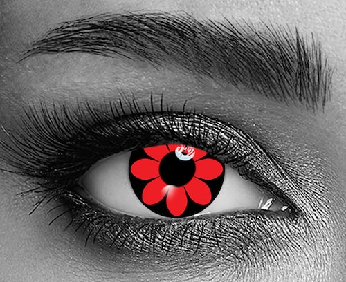 Tiger Lily