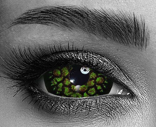 Medusa Medusa