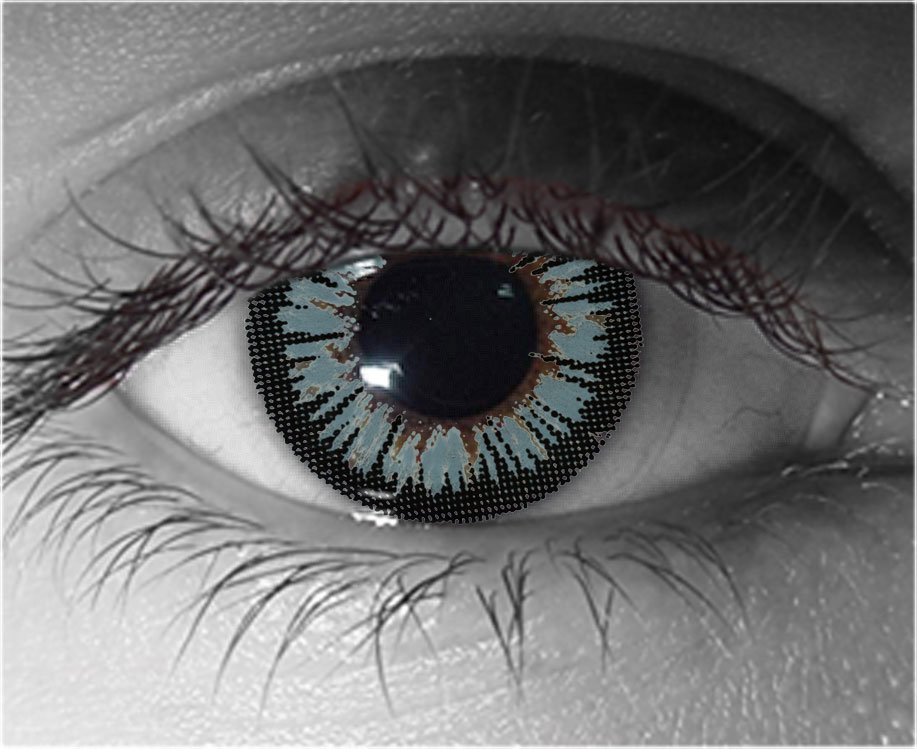 Gray Ghost