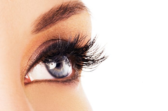 Eyebrows and eyelashes are important parts of our eyes.