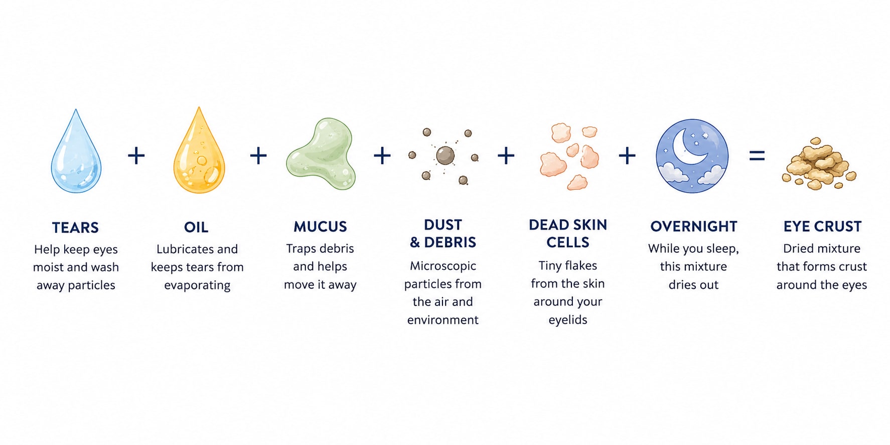 Diagram showing that tears, oil, mucus, dust, debris, and dead skin cells can collect and dry overnight to form crust around the eyes.