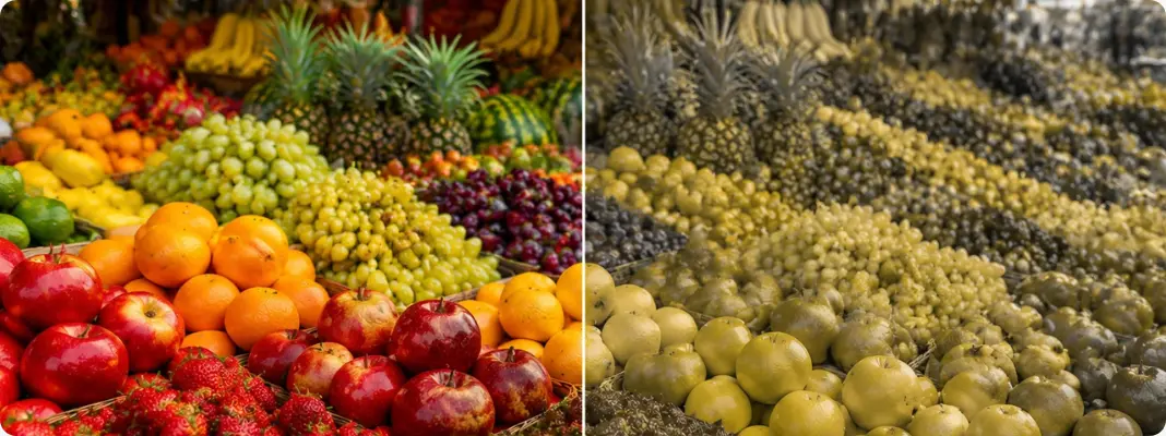 Color Blindness