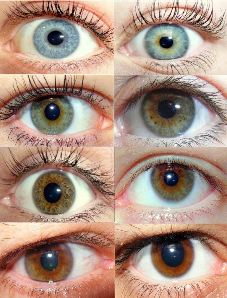 Why Do People Have Different Eye Colors? | Lens.com