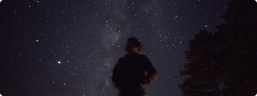 Silhouette of a person standing beneath a star-filled night sky with the Milky Way visible overhead.