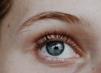 blue-iris-closeup