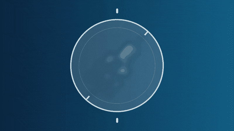 toric-feature