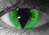 Green Reptile contact lenses