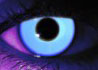 Rave Blue contact lenses