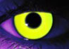 Rave Yellow contact lenses