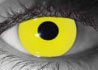 Zombie Yellow contact lenses