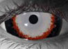 Chimera contact lenses