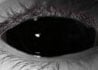 Black Sclera contact lenses