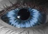 Lycan Evo contact lenses