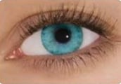  Aqua
