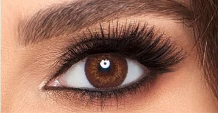 contact lens color:  Brown