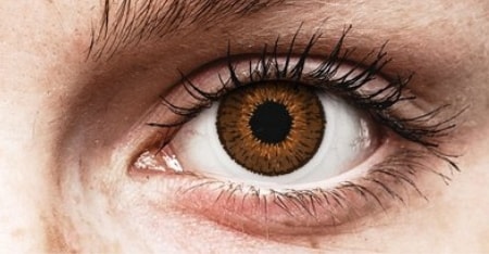 contact lens color:  Brown